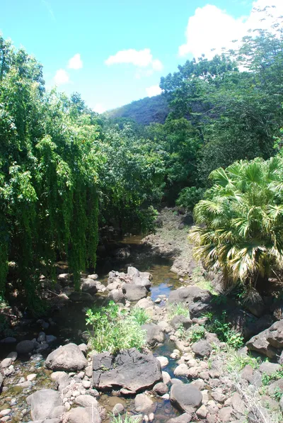 2007_05_30_HAWAII (74) (Large).JPG
